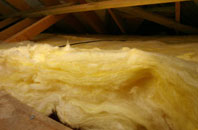 Fleisirin pitch roof insulation